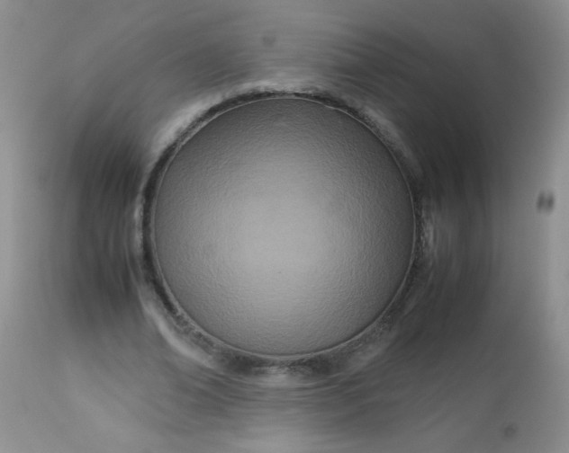 X0000113560678200910091415