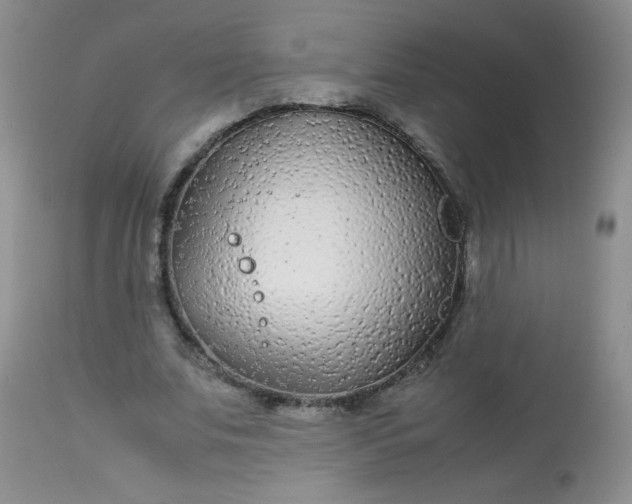 X0000113560679200910091415