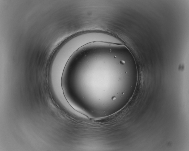 X0000113560680200910091415