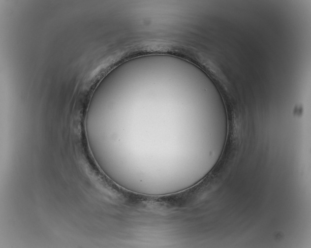 X0000113560681200910091415