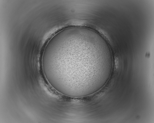 X0000113560682200910091415