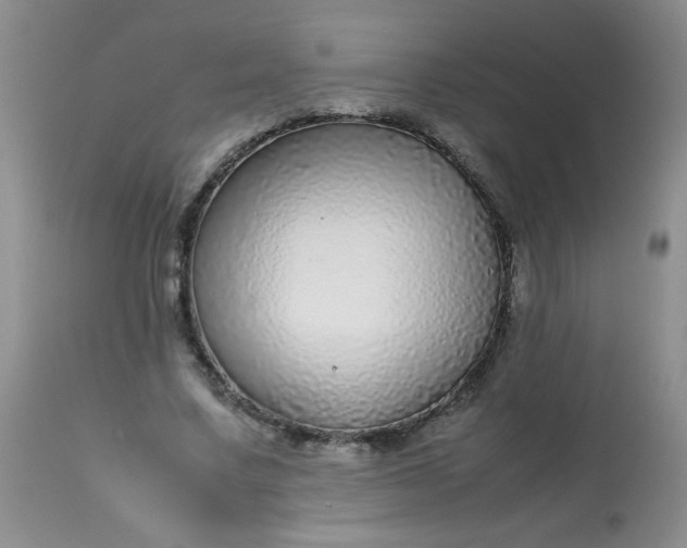 X0000113560683200910091415