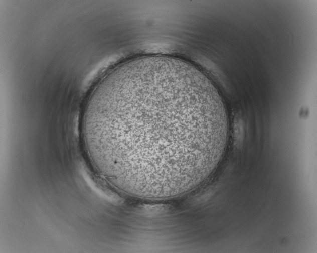 X0000113560686200910091415