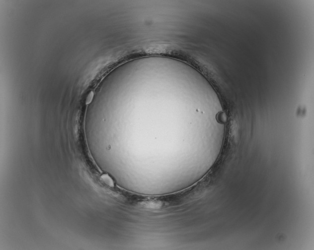 X0000113560687200910091415