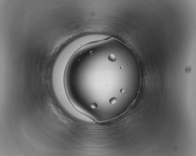 X0000113560688200910091415