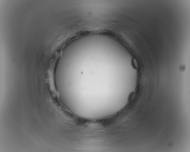 X0000113560689200910091415