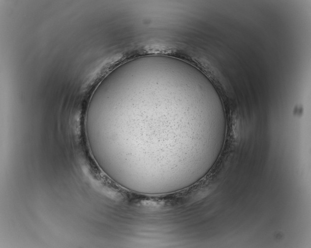 X0000113560690200910091415