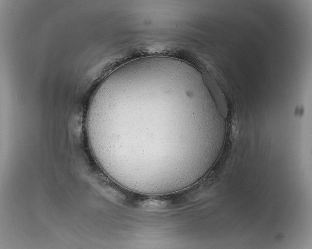 X0000113560691200910091415