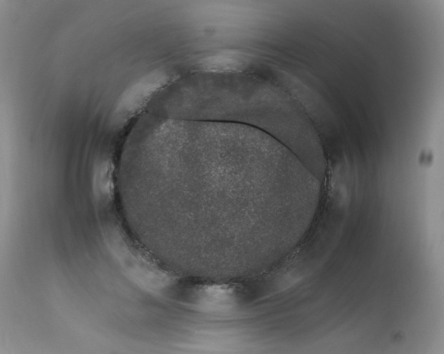 X0000113560692200910091415