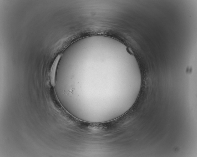 X0000113560693200910091415