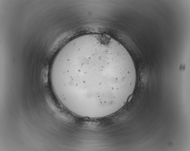 X0000113560694200910091415