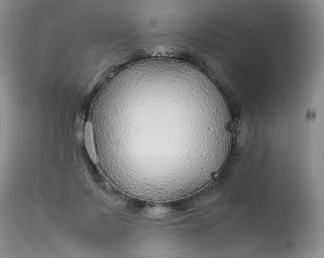 X0000113560695200910091415