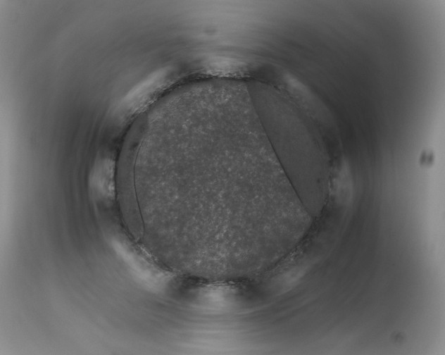 X0000113560696200910091415