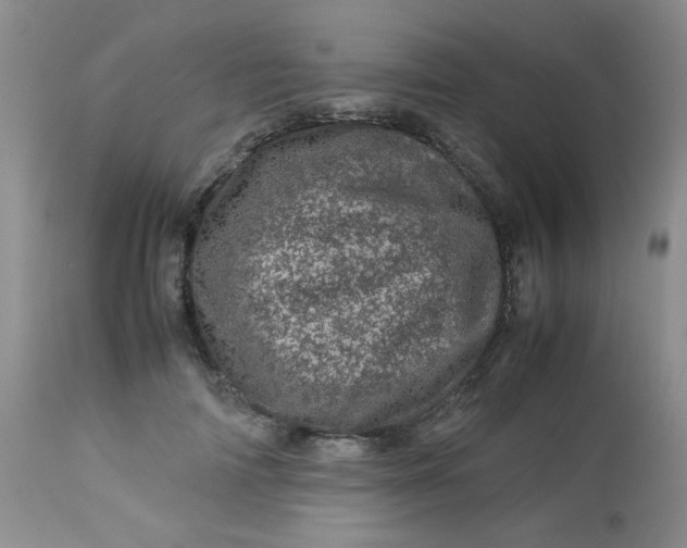 X0000113560698200910091415