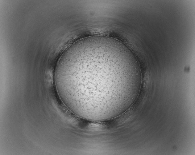 X0000113560699200910091415