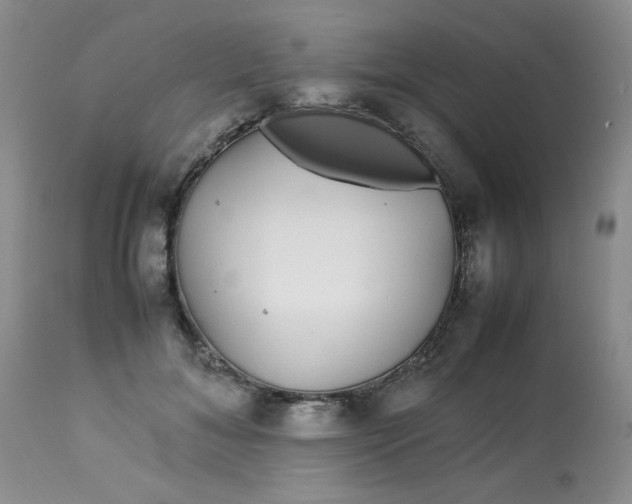 X0000113560700200910091415