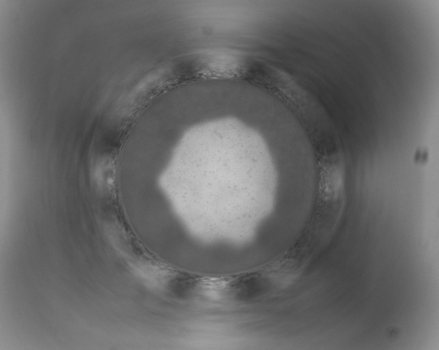 X0000113560701200910091415