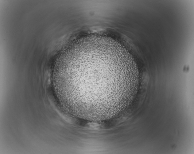 X0000113560703200910091415