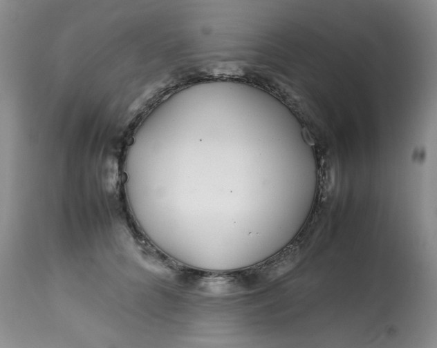 X0000113560704200910091415