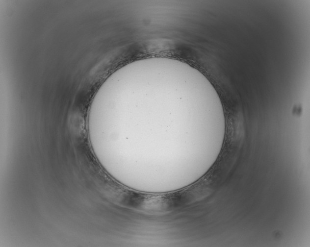 X0000113560705200910091415