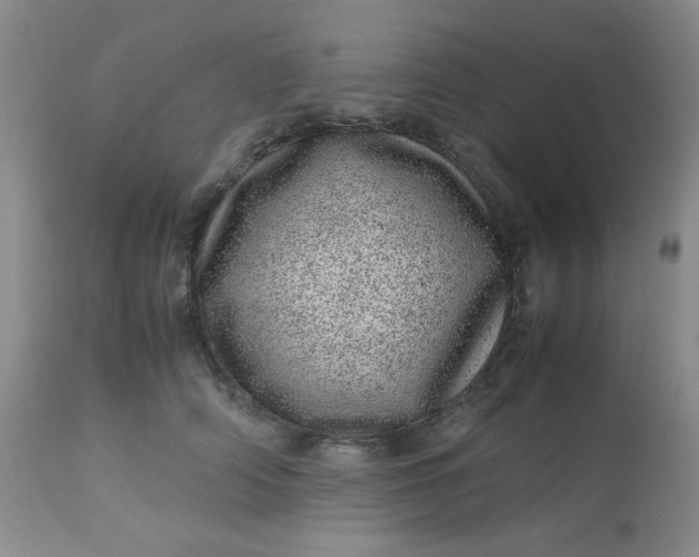 X0000113560706200910091415