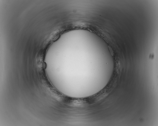 X0000113560708200910091415