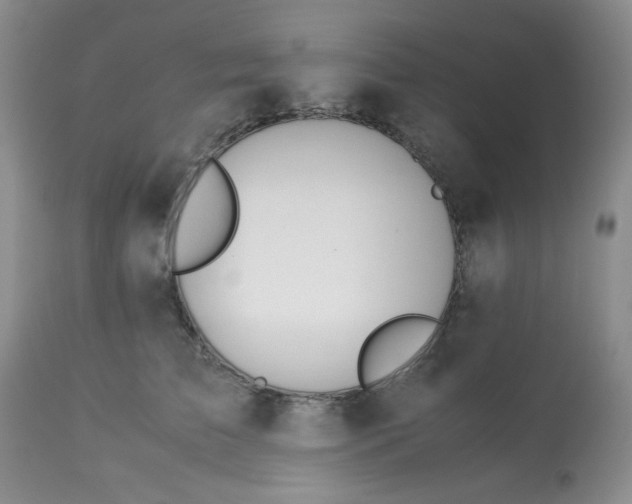 X0000113560709200910091415