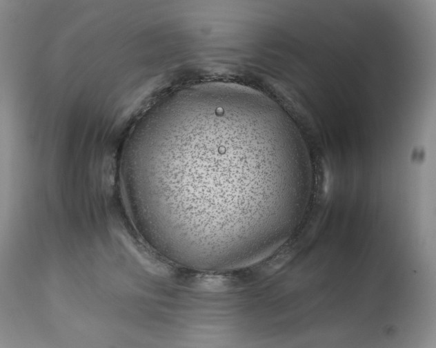 X0000113560710200910091415