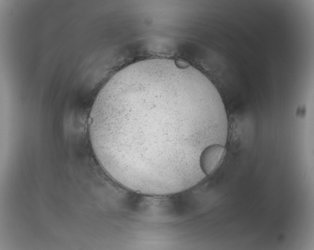 X0000113560713200910091415