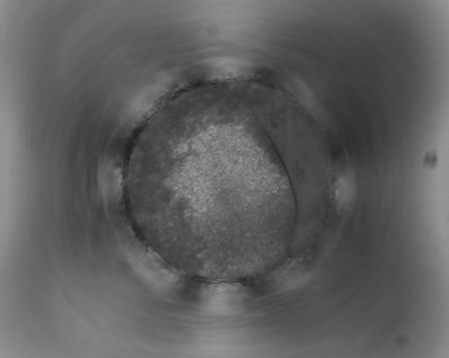 X0000113560716200910091415