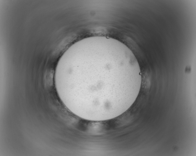 X0000113560717200910091414