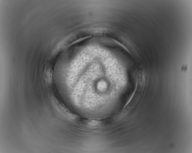 X0000113560718200910091414