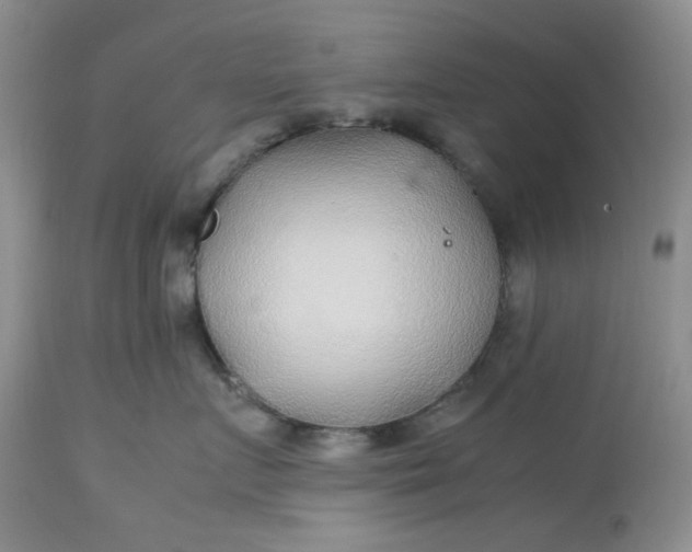 X0000113560719200910091414