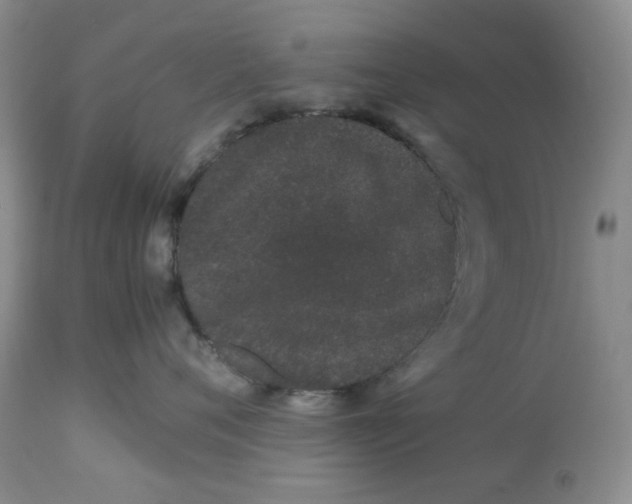 X0000113560720200910091414