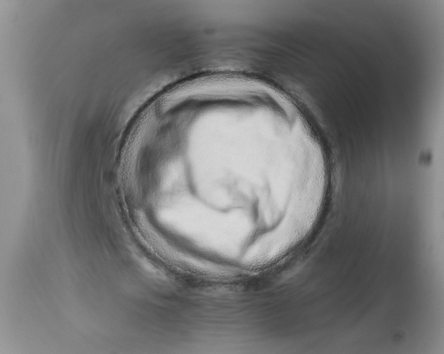 X0000113560721200910091414