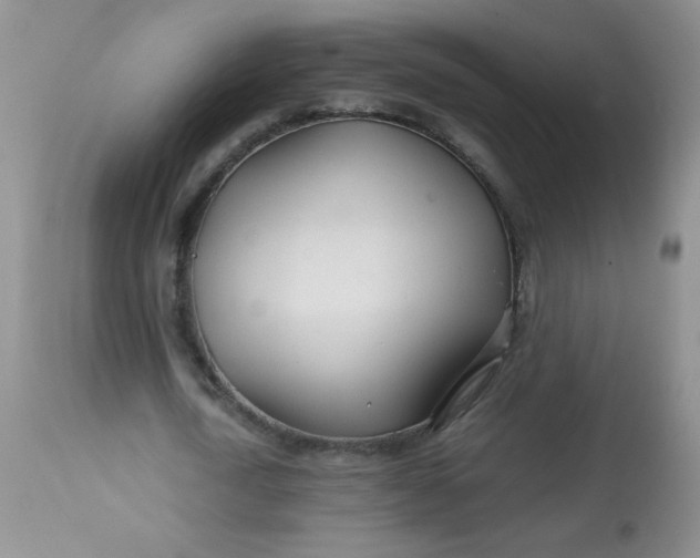 X0000113560722200910091414