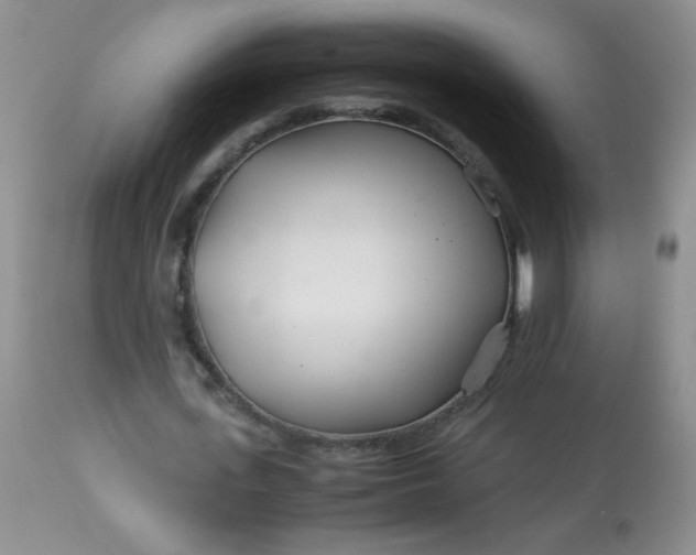 X0000113560723200910091414