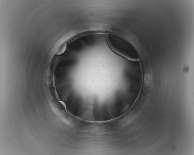 X0000113560724200910091414