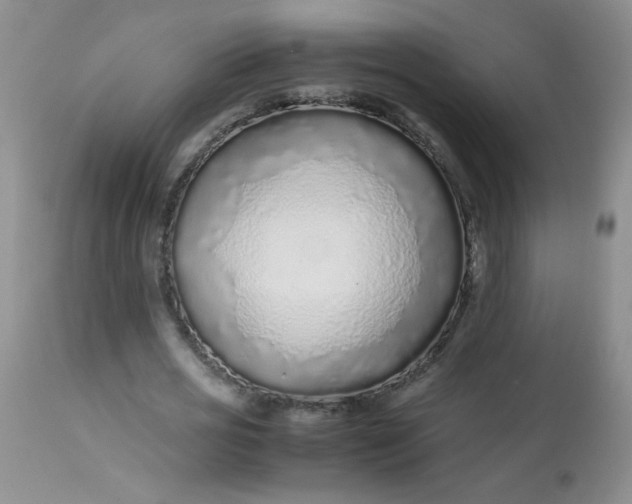 X0000113560725200910091414