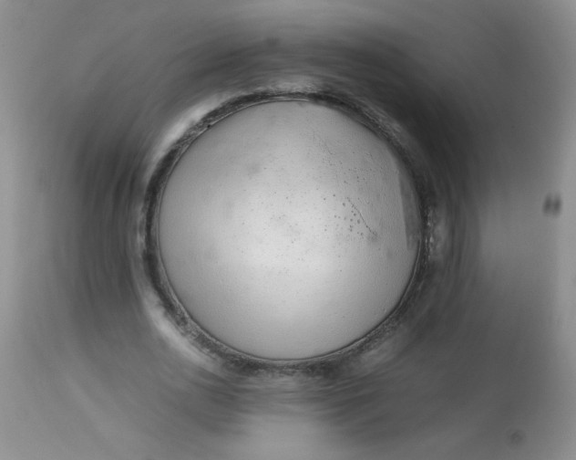 X0000113560726200910091414