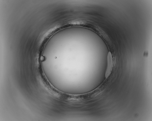 X0000113560727200910091414