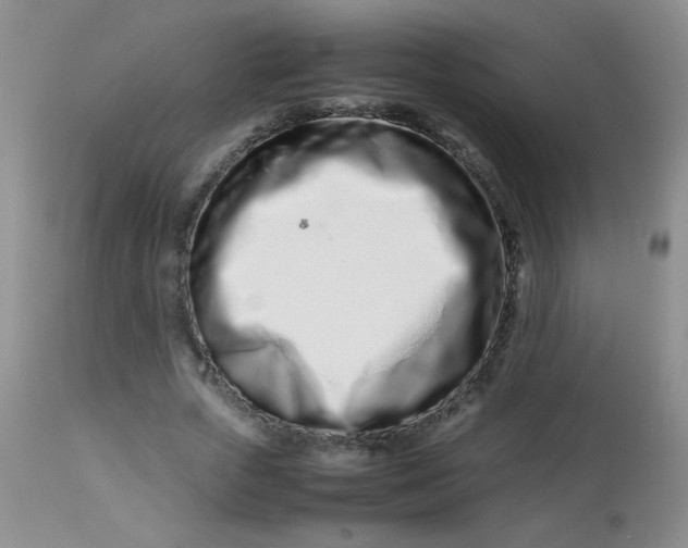 X0000113560729200910091414