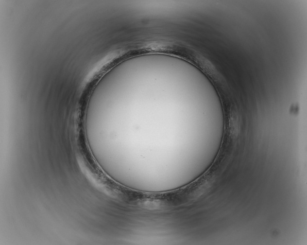 X0000113560730200910091414