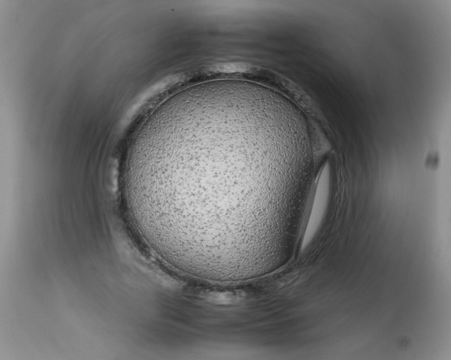 X0000113560731200910091414