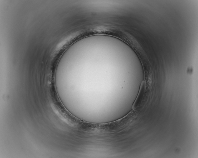 X0000113560732200910091414