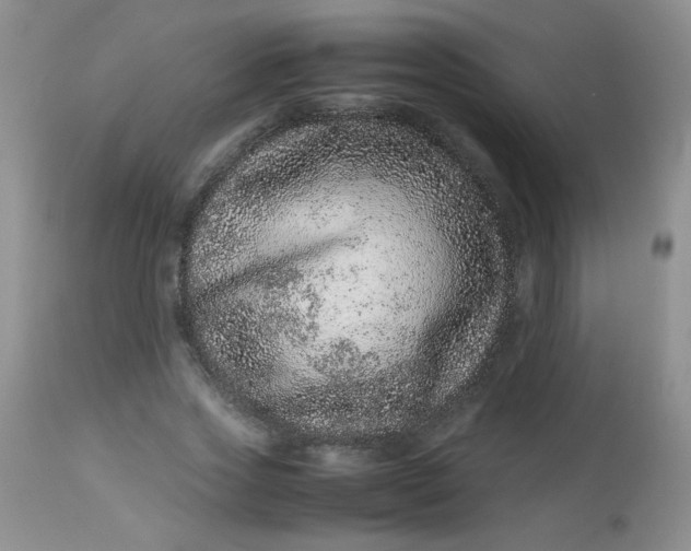 X0000113560733200910091414