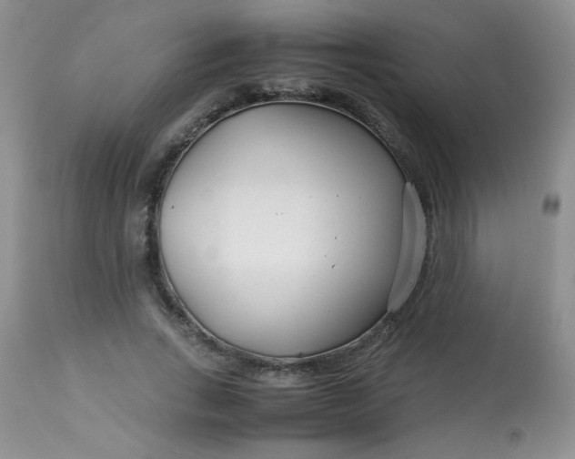 X0000113560735200910091414