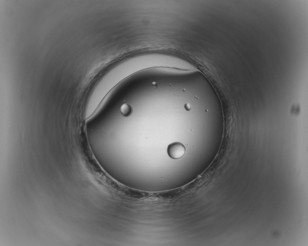 X0000113560736200910091414