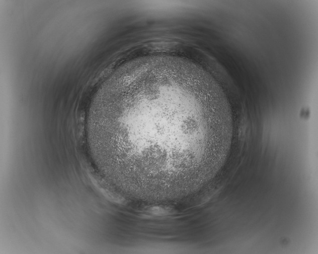 X0000113560737200910091414