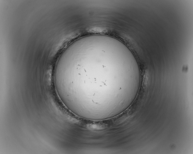 X0000113560739200910091414